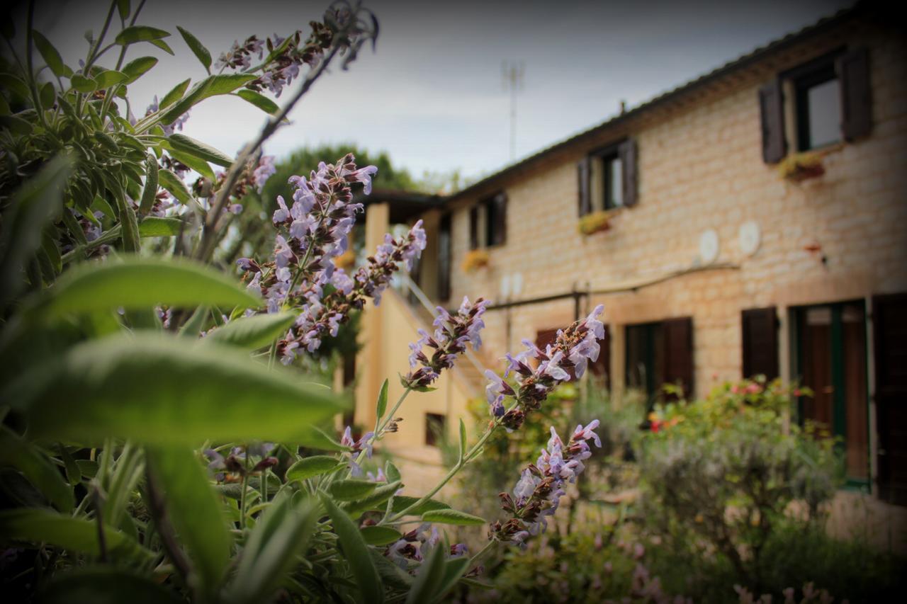 Campo Del Mare Acomodação com café da manhã Sirolo Exterior foto
